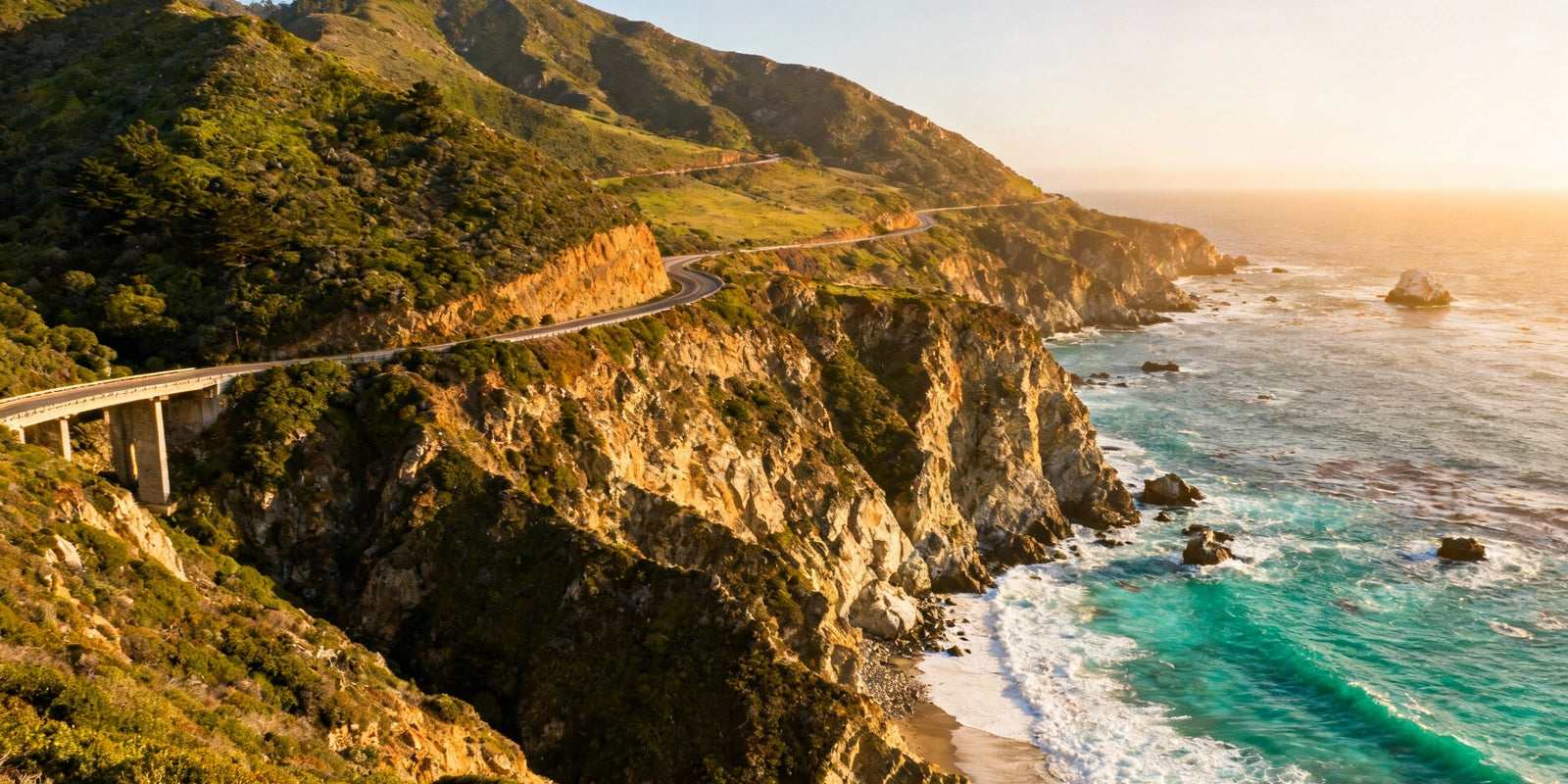 The Wildflower Journey Behind the Sapphire Meadow Ring