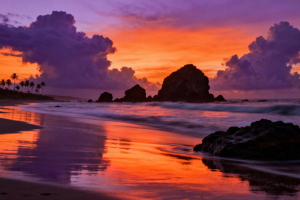 Wild Bloom: A Ring Born in the Wind of the American West