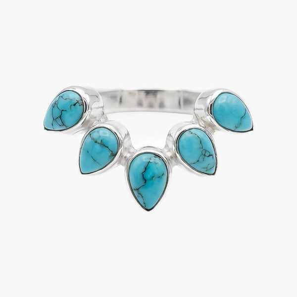 Wings of the Desert Ring