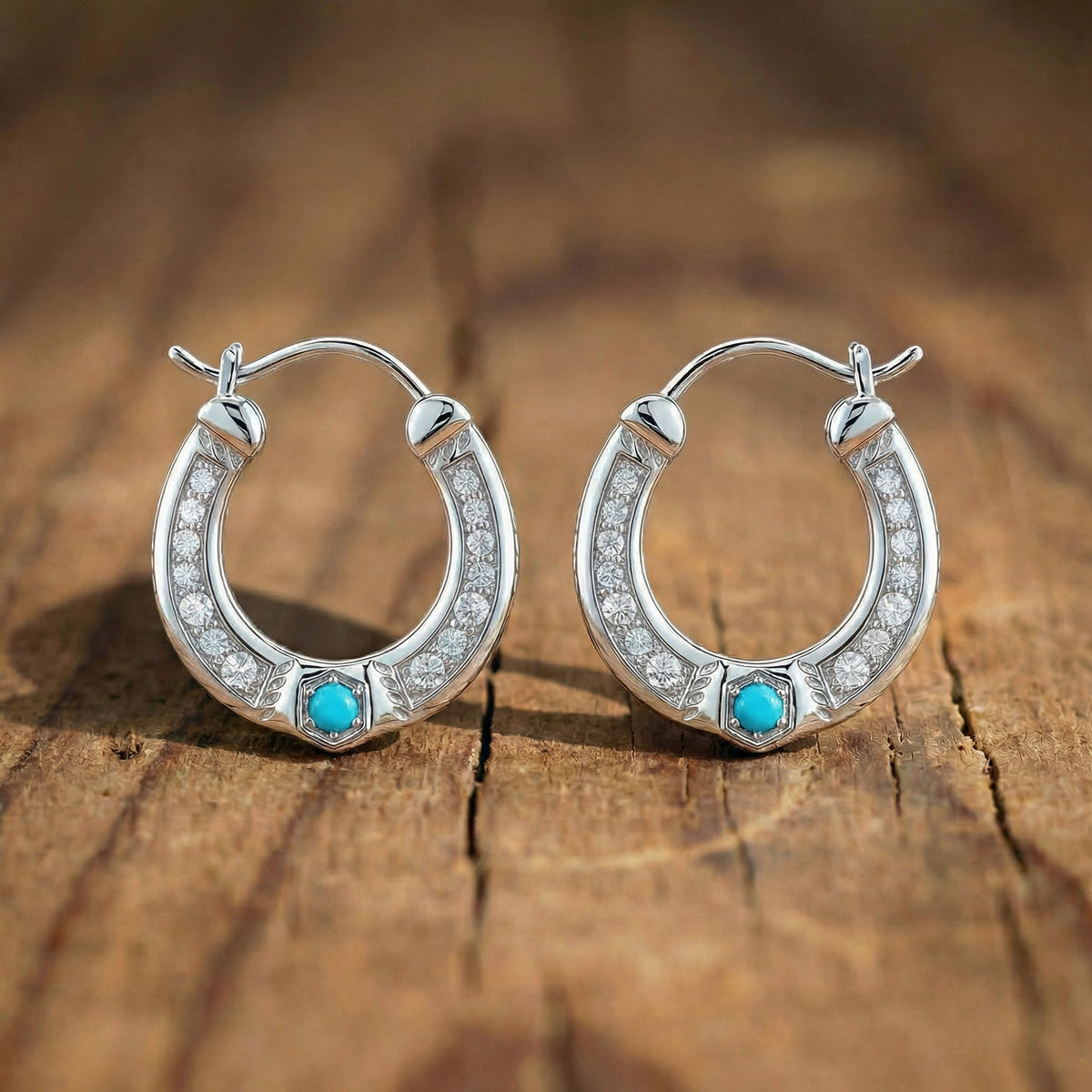 Path of the Light Earrings